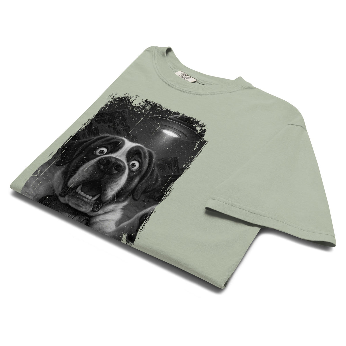 UFO Mountain Scaredy St Bernard T-Shirt - Lucy + Norman