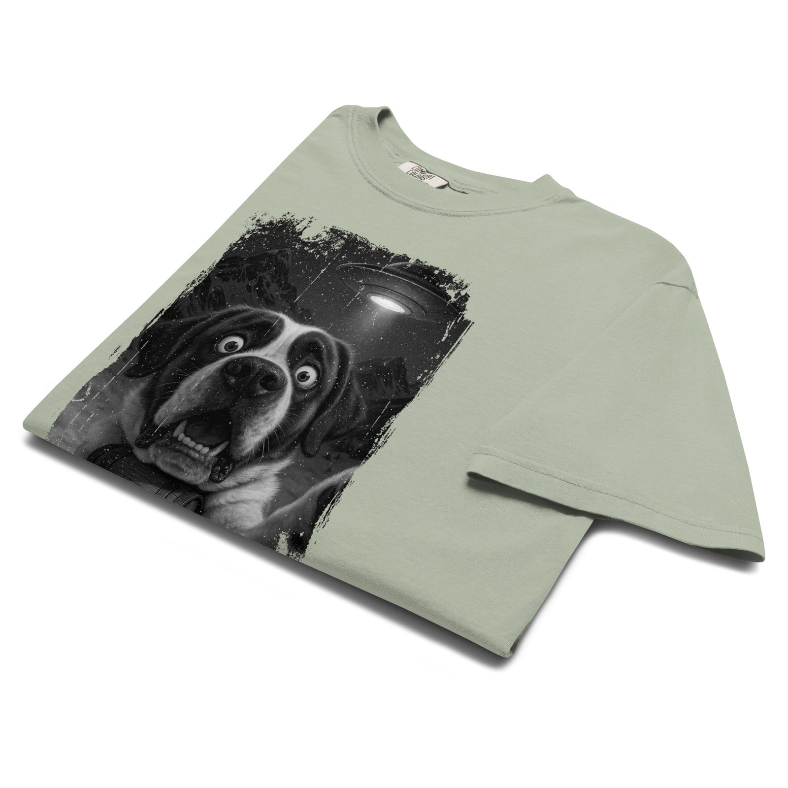 UFO Mountain Scaredy St Bernard T-Shirt - Lucy + Norman