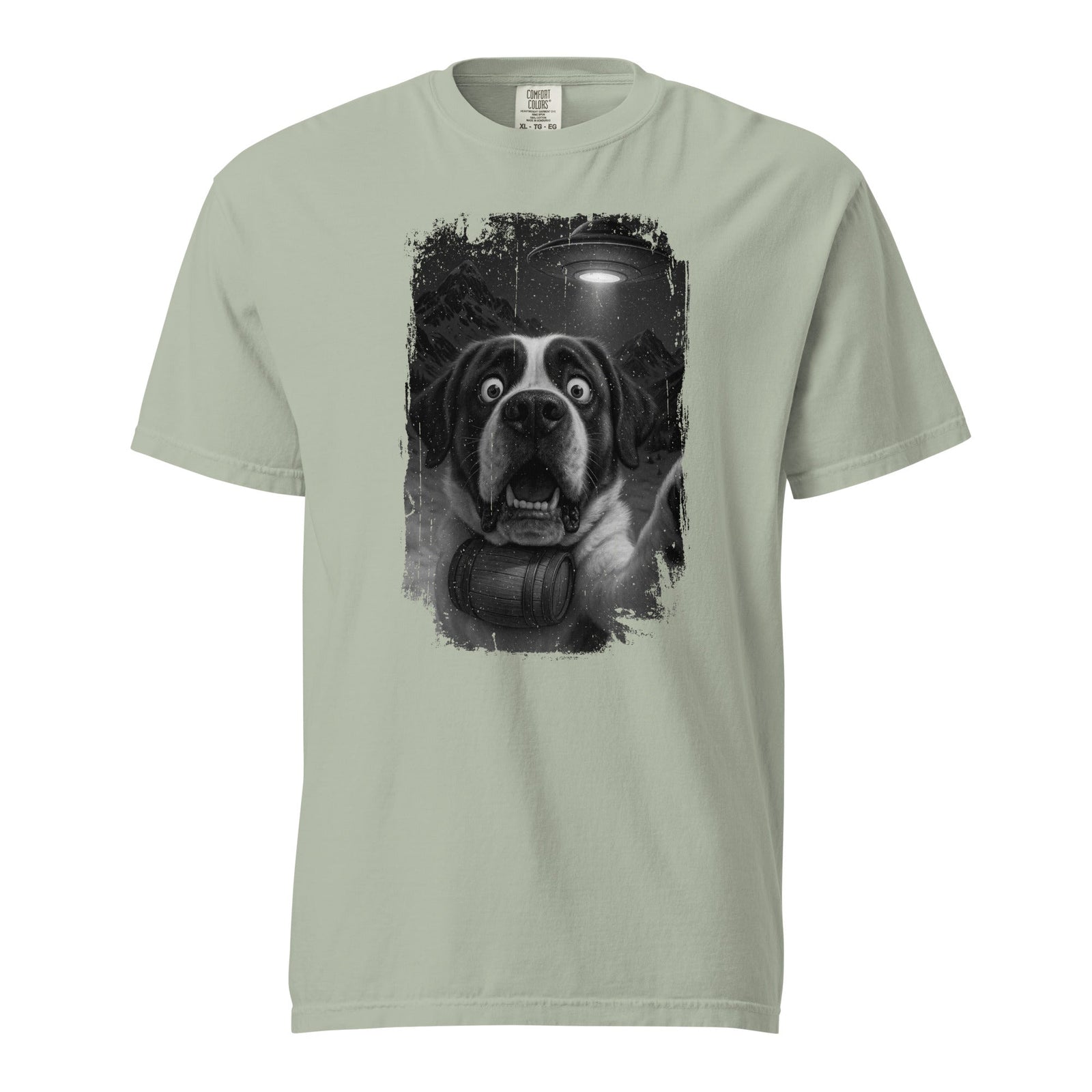 UFO Mountain Scaredy St Bernard T-Shirt - Lucy + Norman