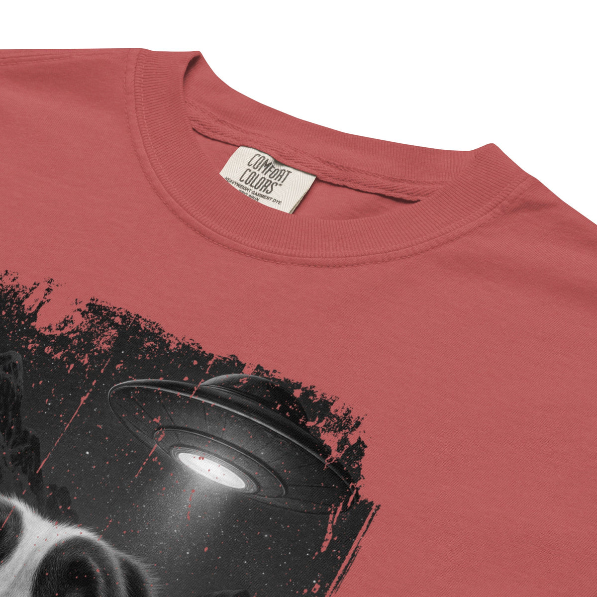 UFO Mountain Scaredy St Bernard T-Shirt - Lucy + Norman