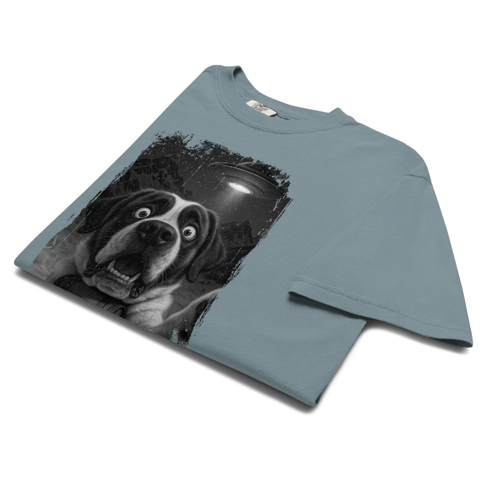 UFO Mountain Scaredy St Bernard T-Shirt - Lucy + Norman