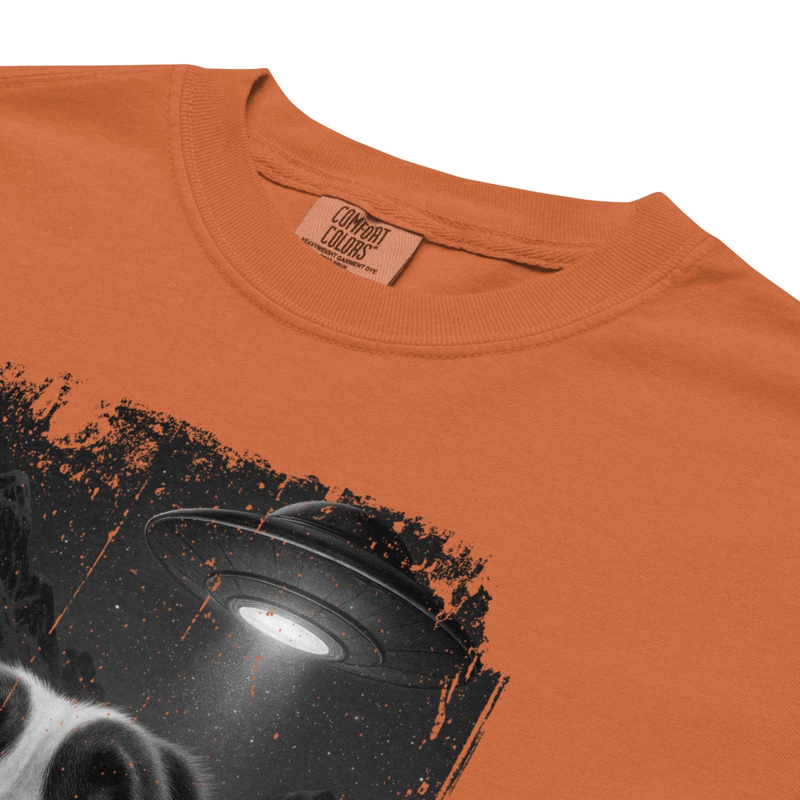 UFO Mountain Scaredy St Bernard T-Shirt - Lucy + Norman