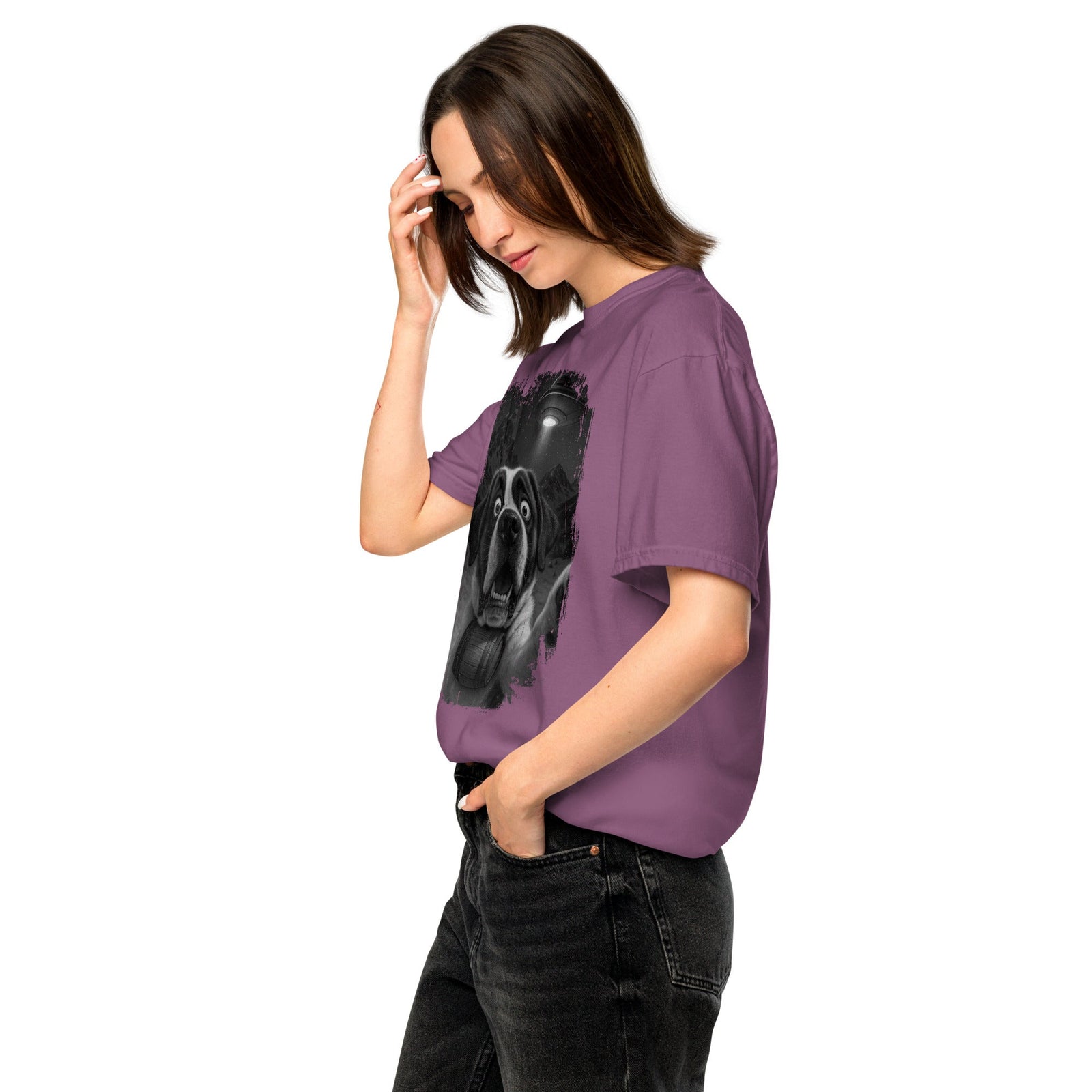 UFO Mountain Scaredy St Bernard T-Shirt - Lucy + Norman