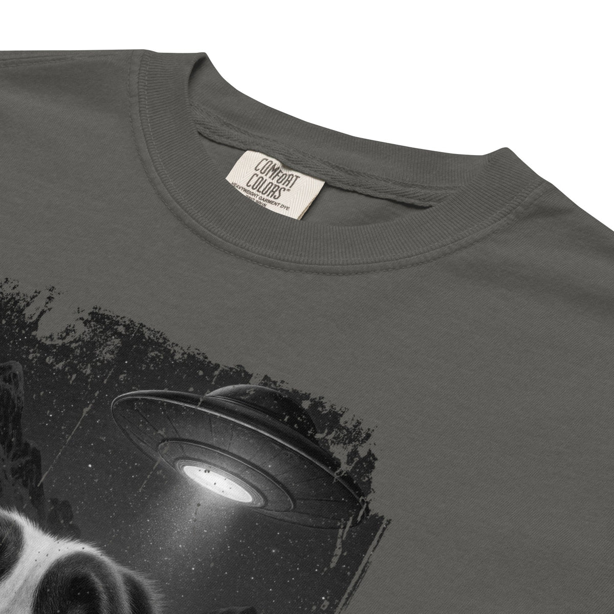 UFO Mountain Scaredy St Bernard T-Shirt - Lucy + Norman