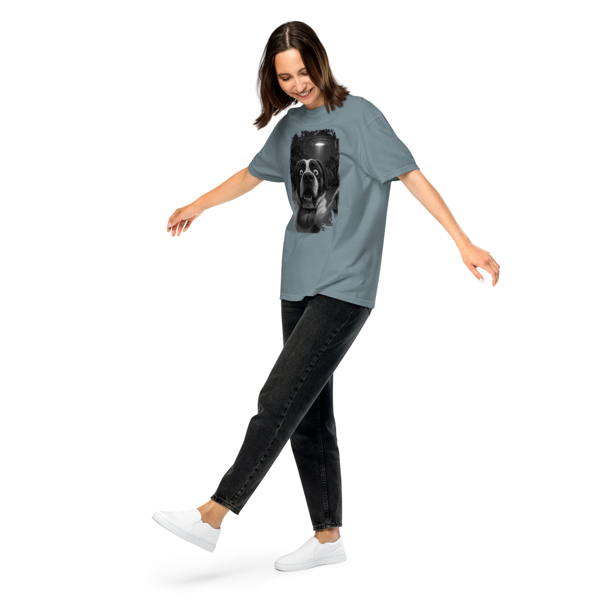 UFO Mountain Scaredy St Bernard T-Shirt - Lucy + Norman