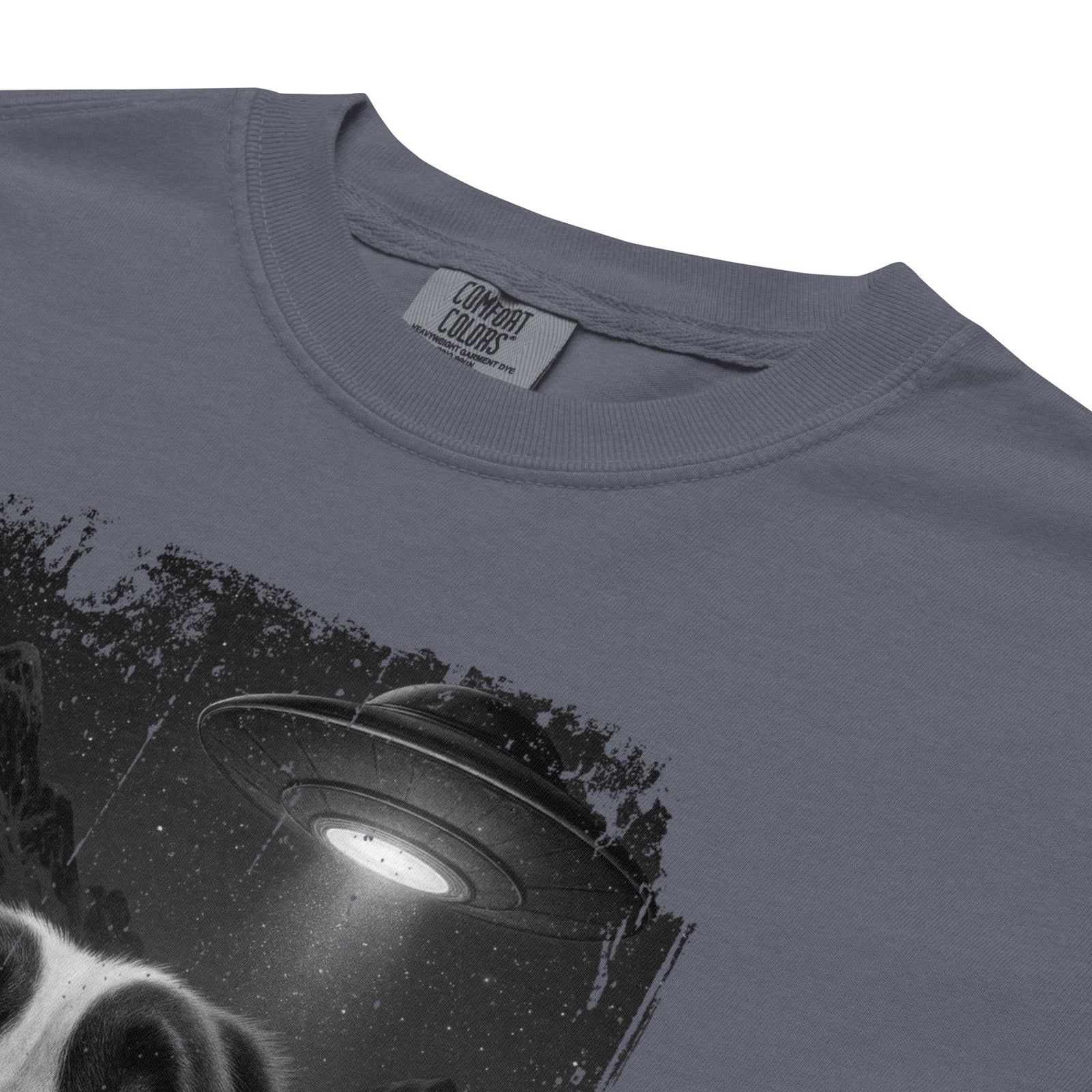 UFO Mountain Scaredy St Bernard T-Shirt - Lucy + Norman