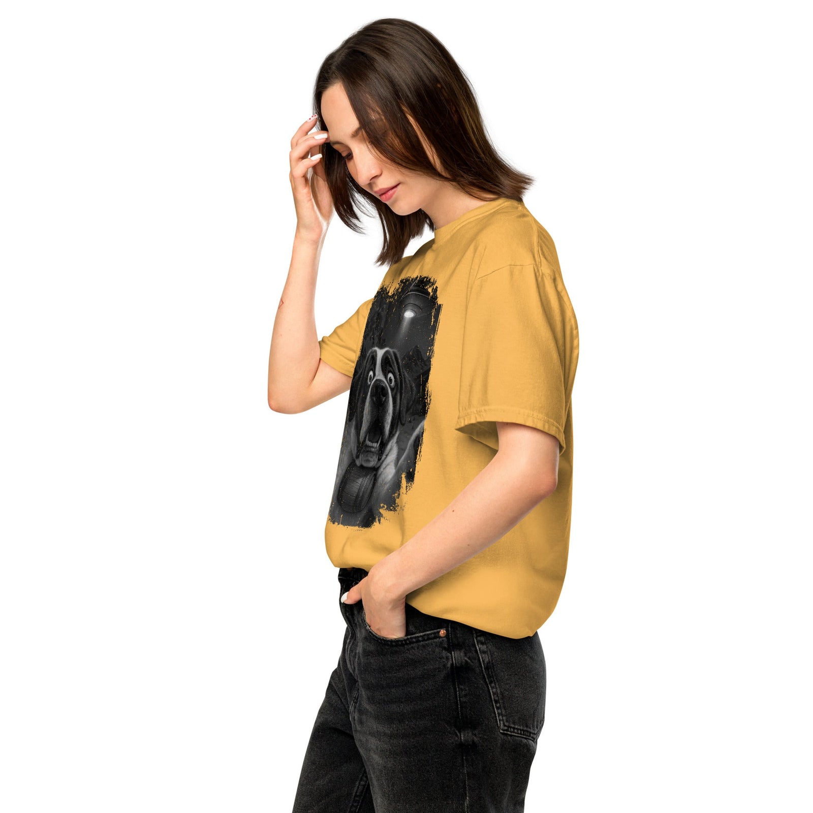 UFO Mountain Scaredy St Bernard T-Shirt - Lucy + Norman