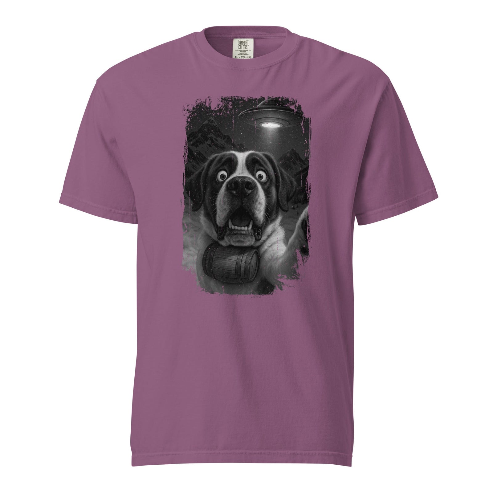 UFO Mountain Scaredy St Bernard T-Shirt - Lucy + Norman
