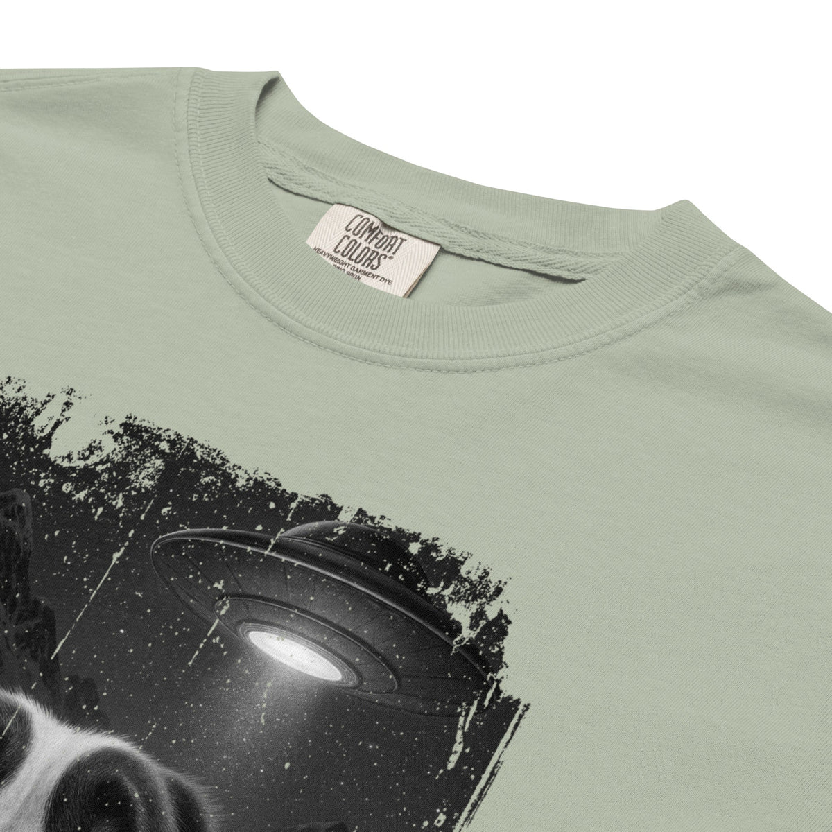 UFO Mountain Scaredy St Bernard T-Shirt - Lucy + Norman