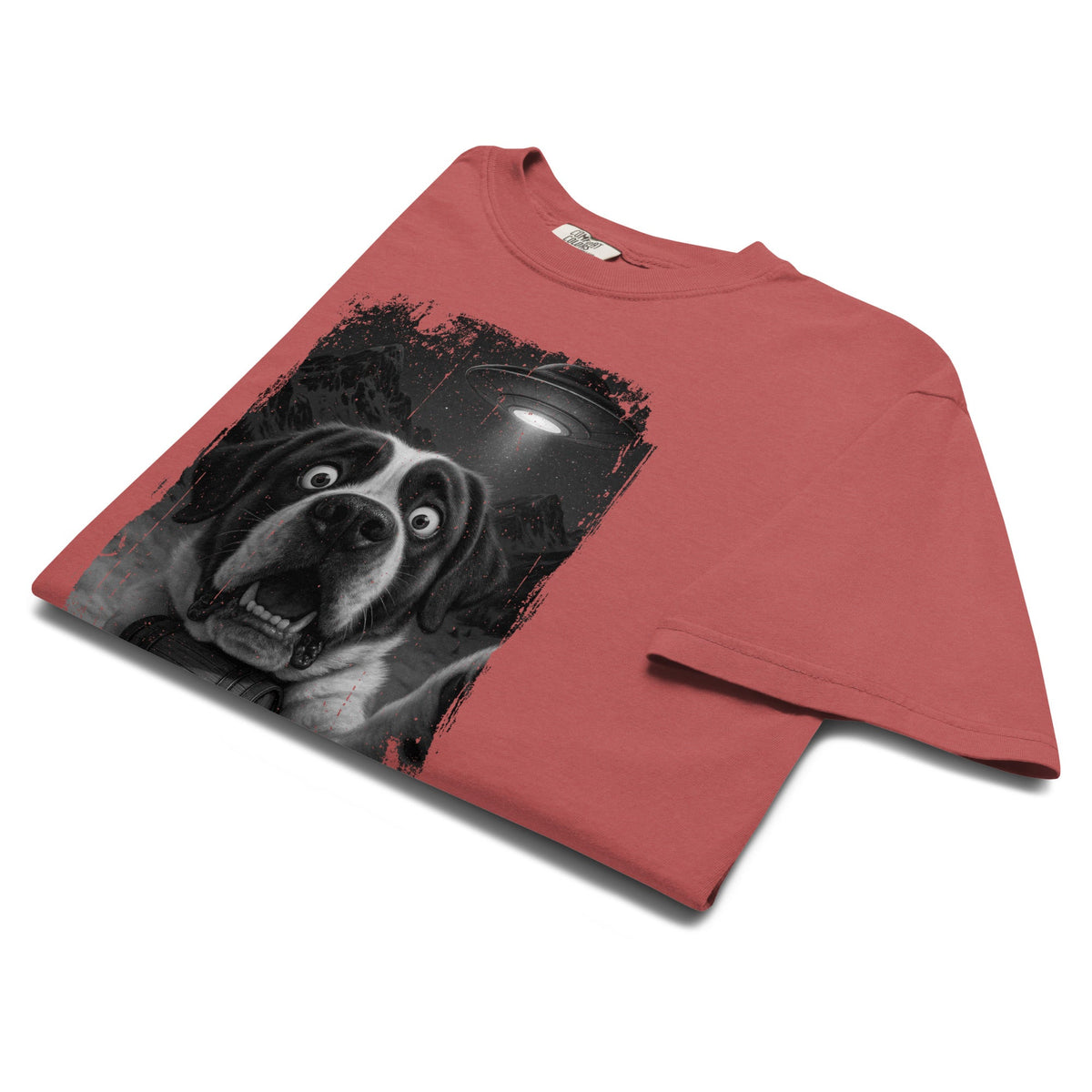 UFO Mountain Scaredy St Bernard T-Shirt - Lucy + Norman