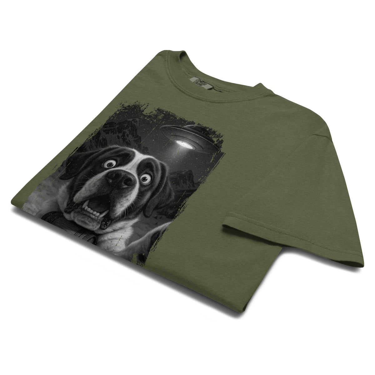 UFO Mountain Scaredy St Bernard T-Shirt - Lucy + Norman