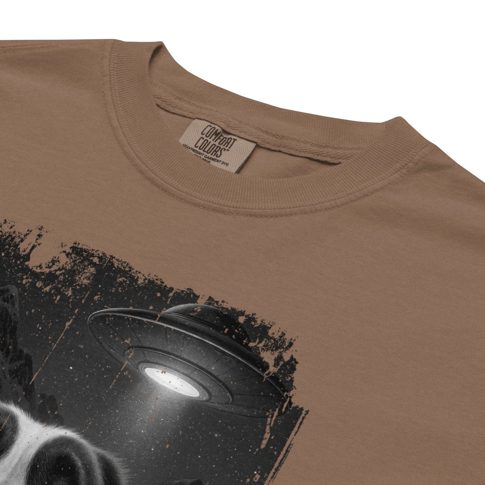 UFO Mountain Scaredy St Bernard T-Shirt - Lucy + Norman