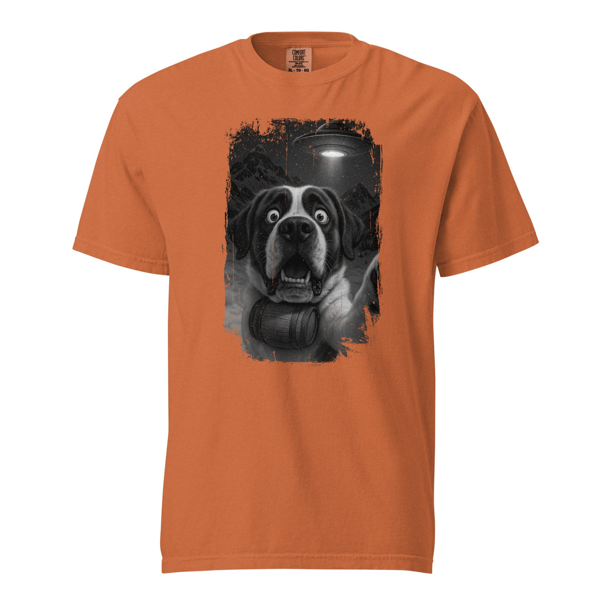 UFO Mountain Scaredy St Bernard T-Shirt - Lucy + Norman