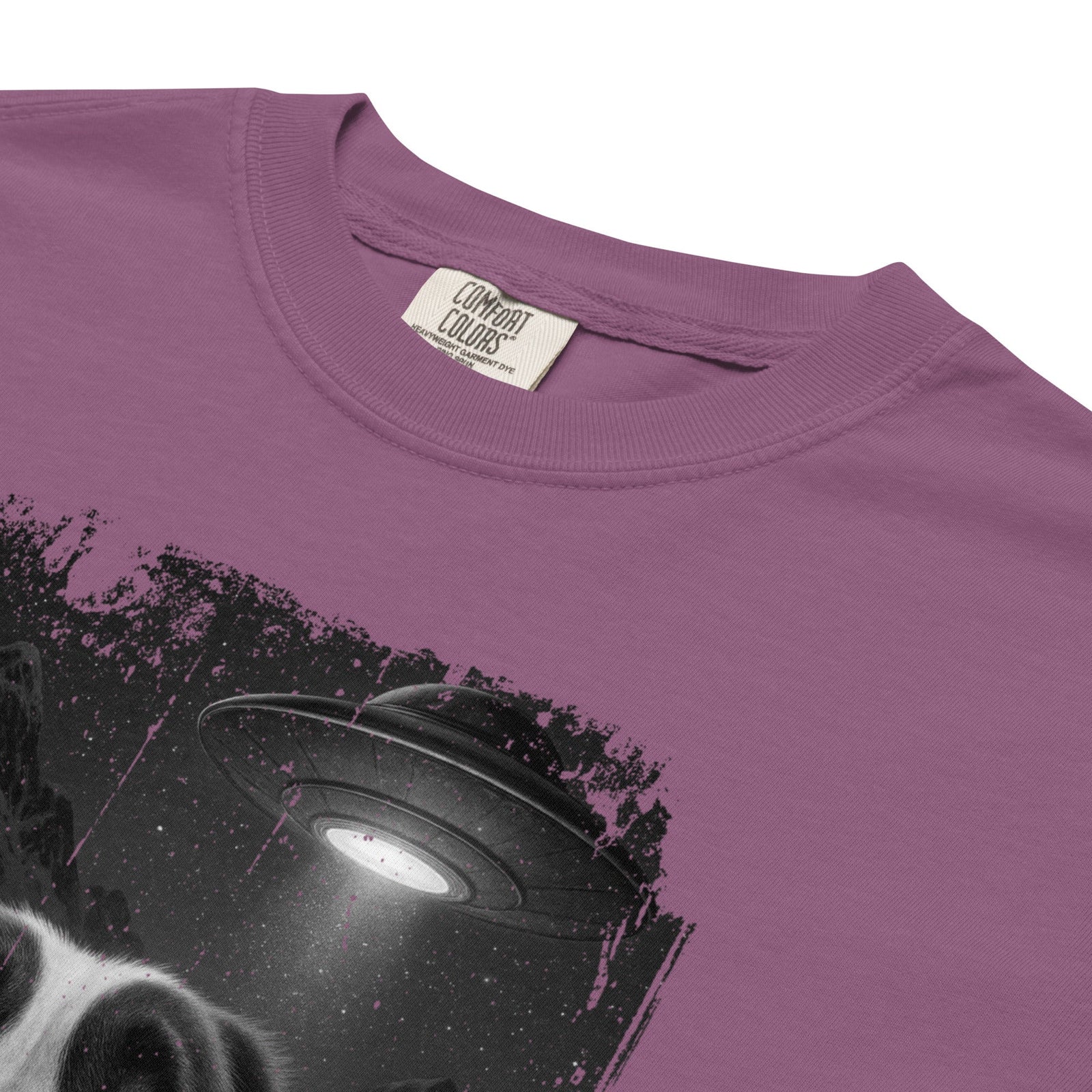 UFO Mountain Scaredy St Bernard T-Shirt - Lucy + Norman