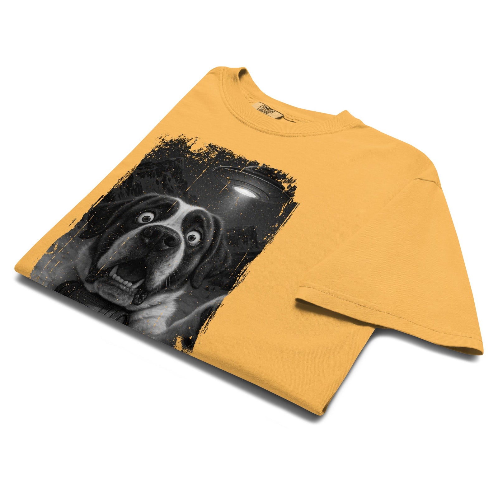 UFO Mountain Scaredy St Bernard T-Shirt - Lucy + Norman