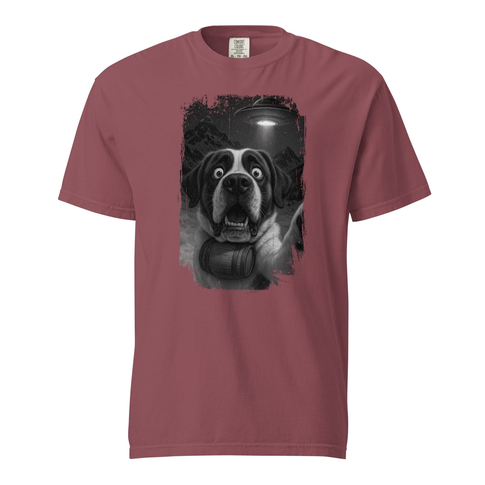 UFO Mountain Scaredy St Bernard T-Shirt - Lucy + Norman