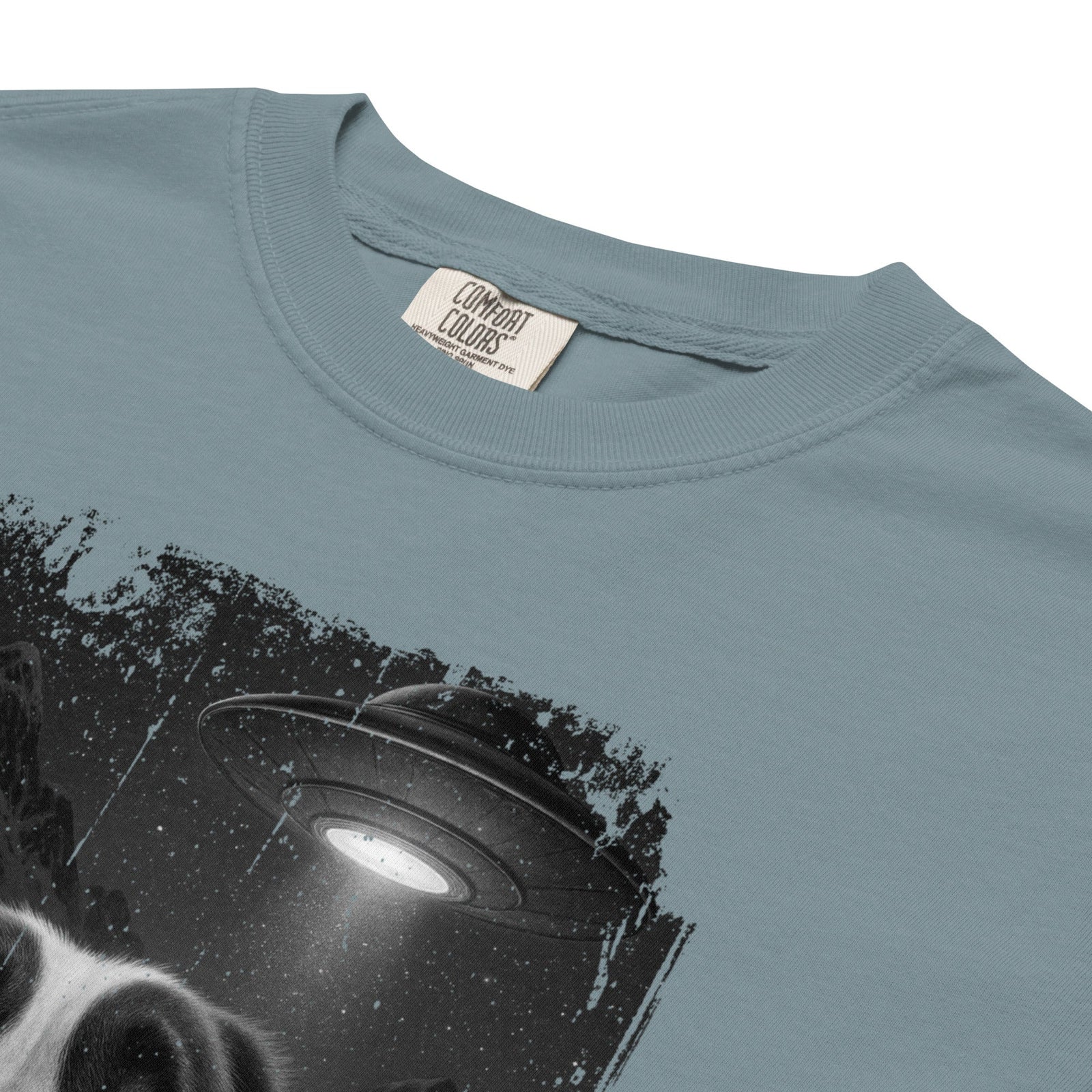 UFO Mountain Scaredy St Bernard T-Shirt - Lucy + Norman