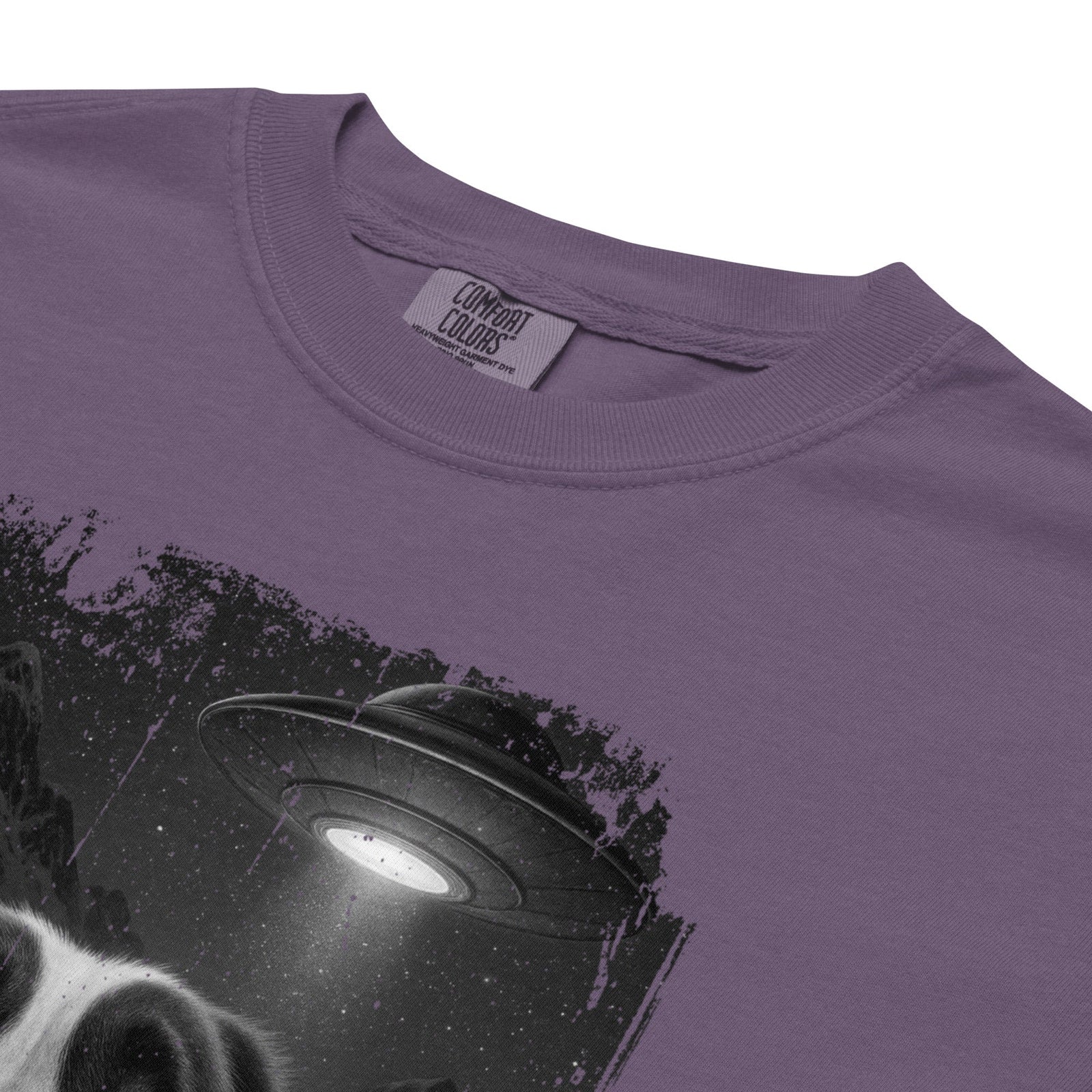 UFO Mountain Scaredy St Bernard T-Shirt - Lucy + Norman