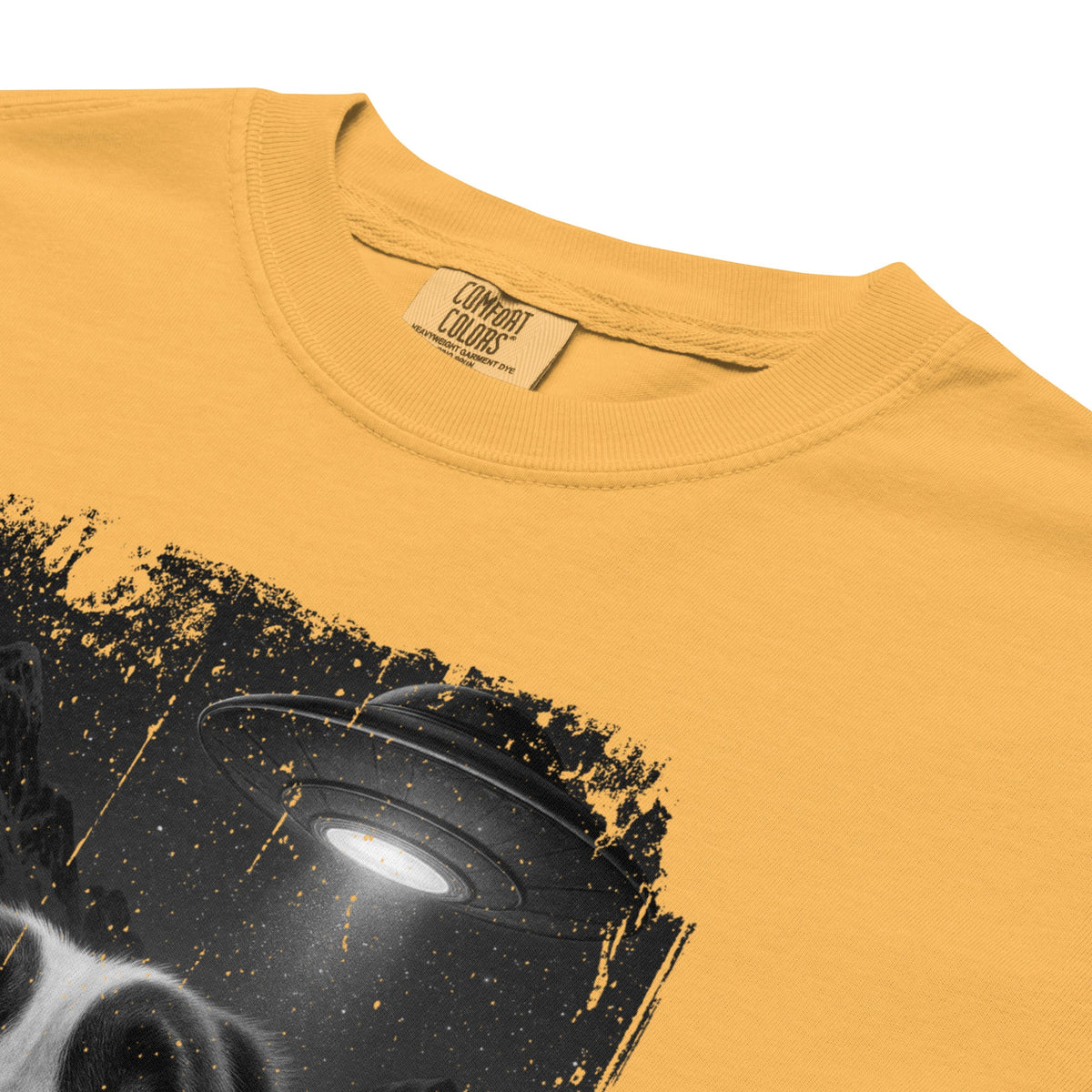 UFO Mountain Scaredy St Bernard T-Shirt - Lucy + Norman