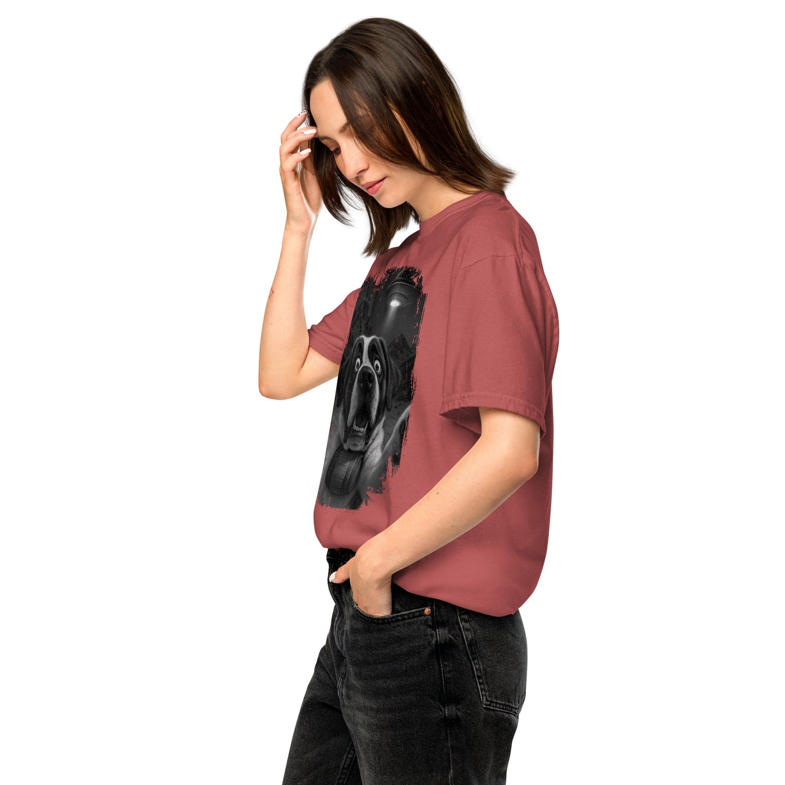 UFO Mountain Scaredy St Bernard T-Shirt - Lucy + Norman