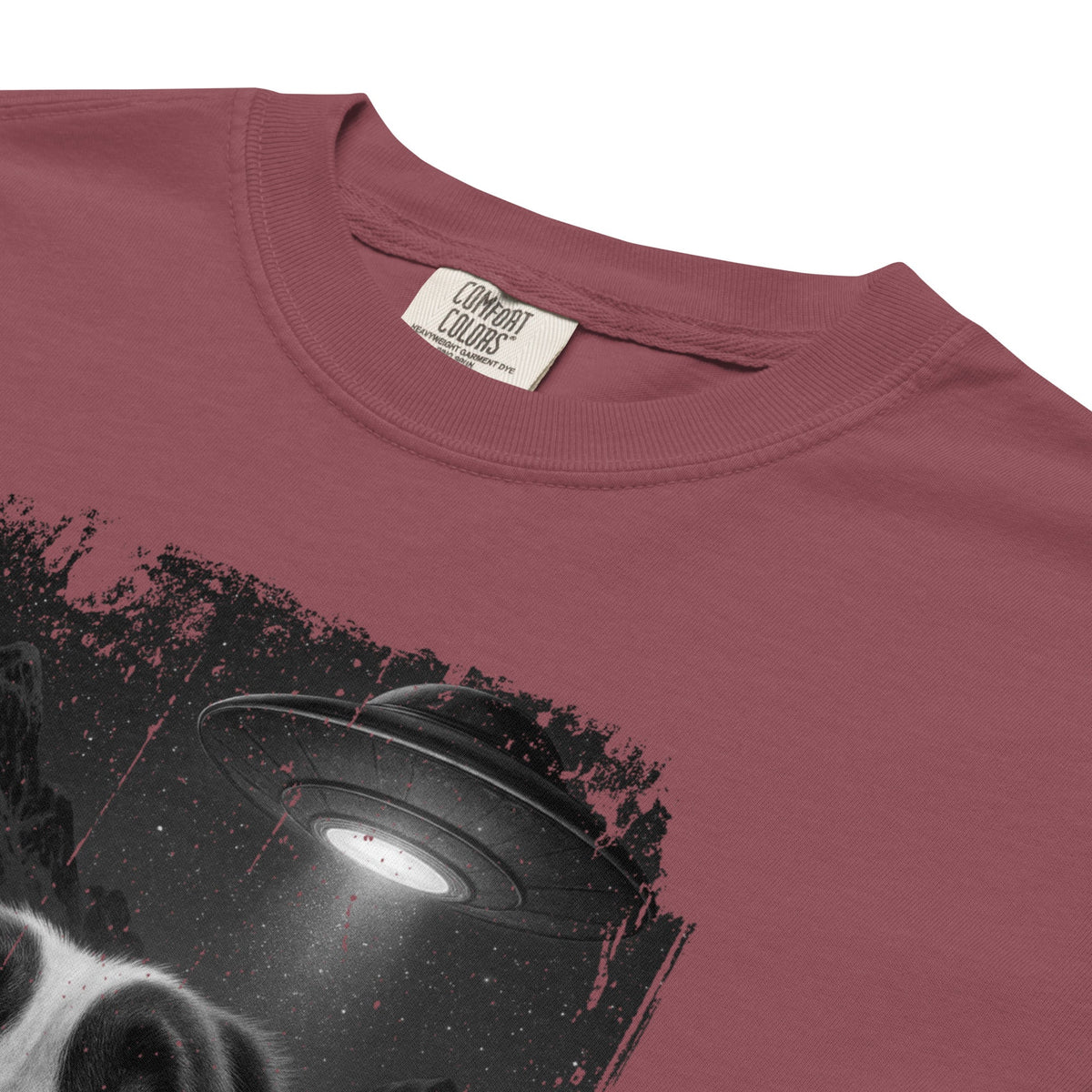 UFO Mountain Scaredy St Bernard T-Shirt - Lucy + Norman