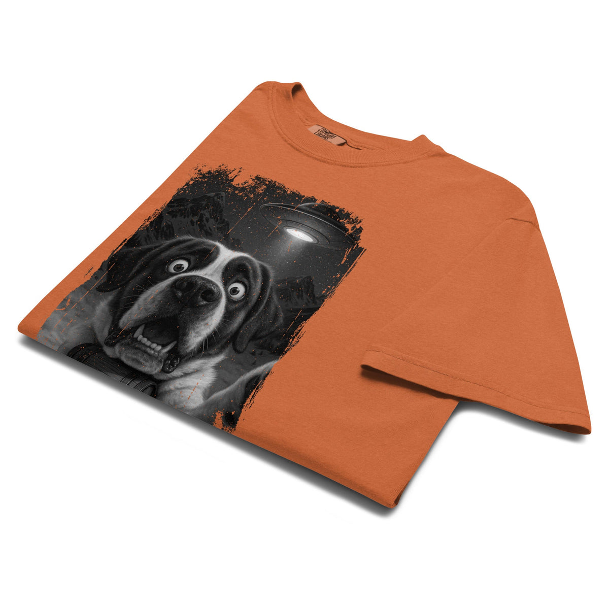 UFO Mountain Scaredy St Bernard T-Shirt - Lucy + Norman