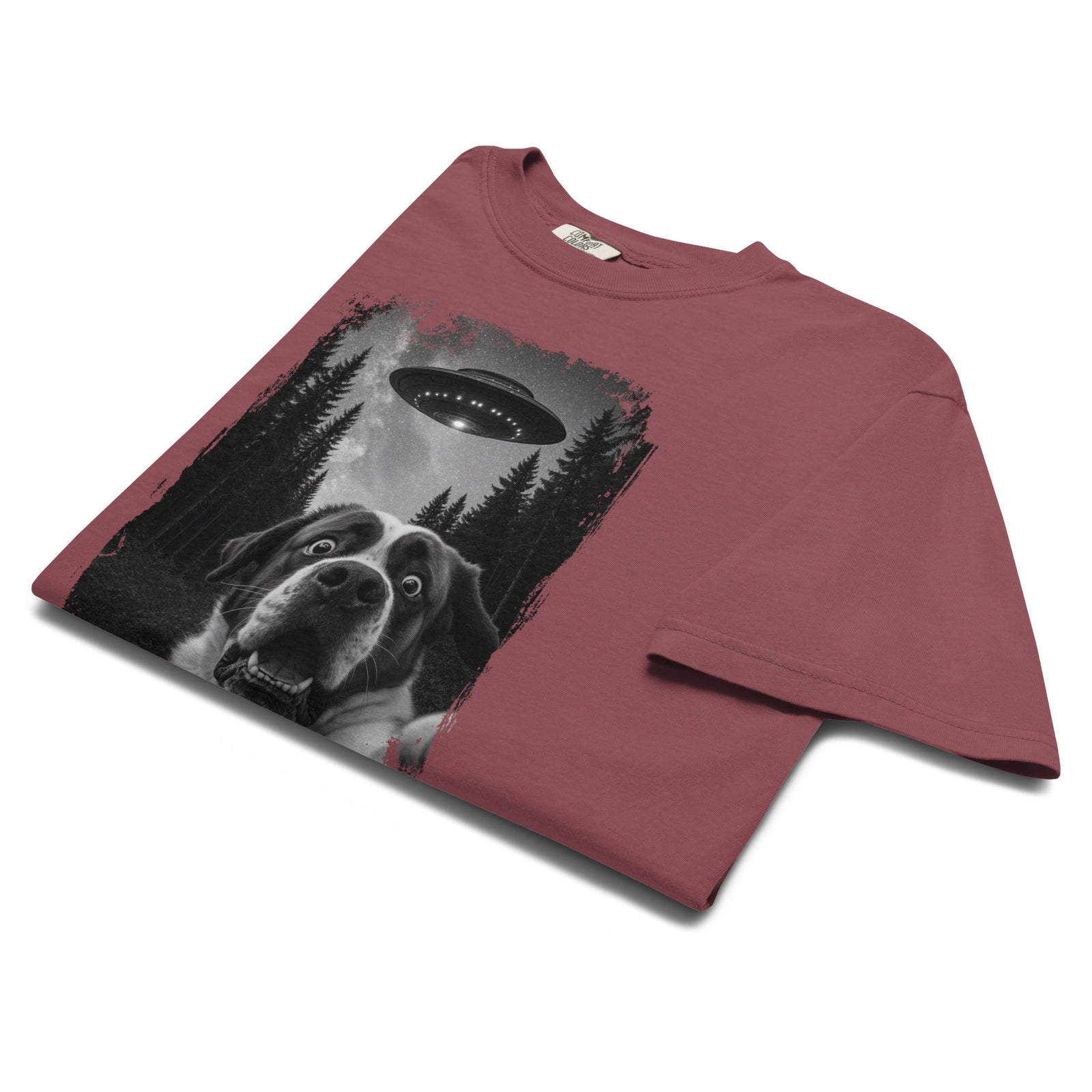 UFO Scaredy Saint T-Shirt - Lucy + Norman