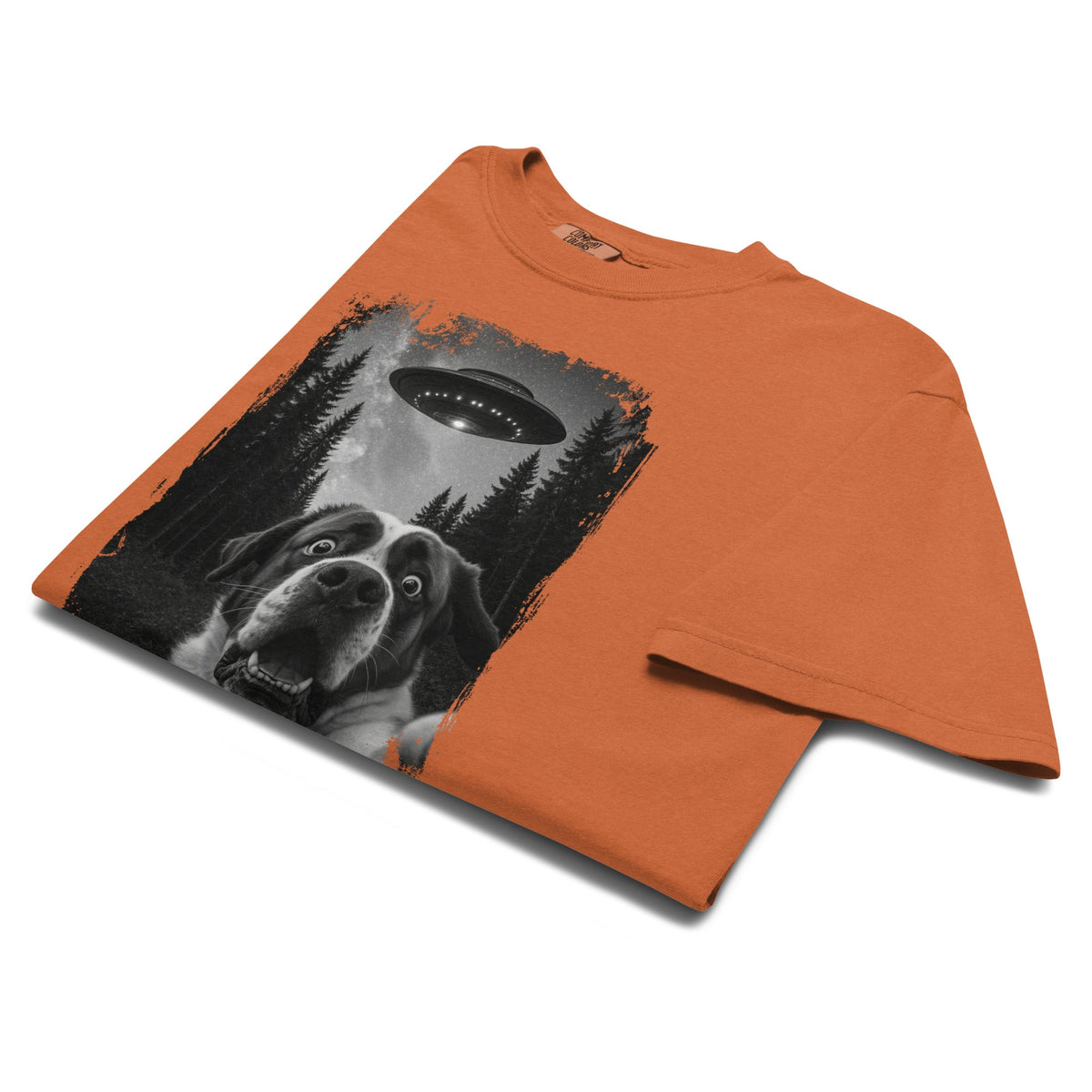 UFO Scaredy Saint T-Shirt - Lucy + Norman