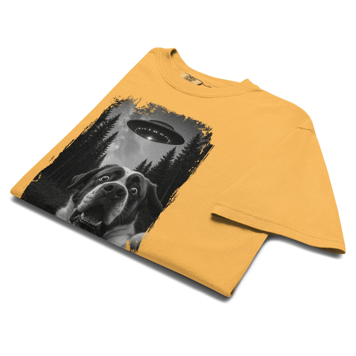 UFO Scaredy Saint T-Shirt - Lucy + Norman