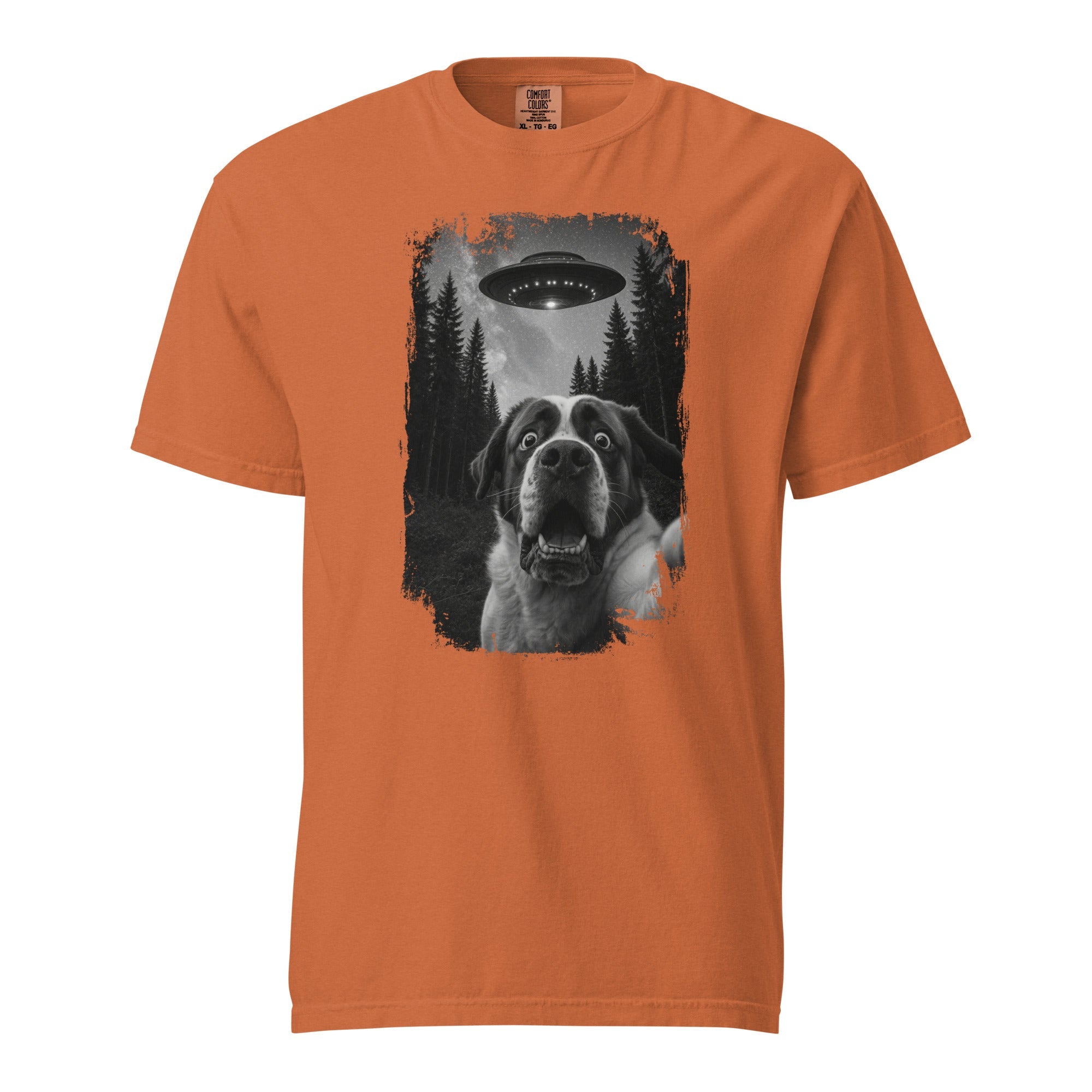UFO Scaredy Saint T-Shirt - Lucy + Norman
