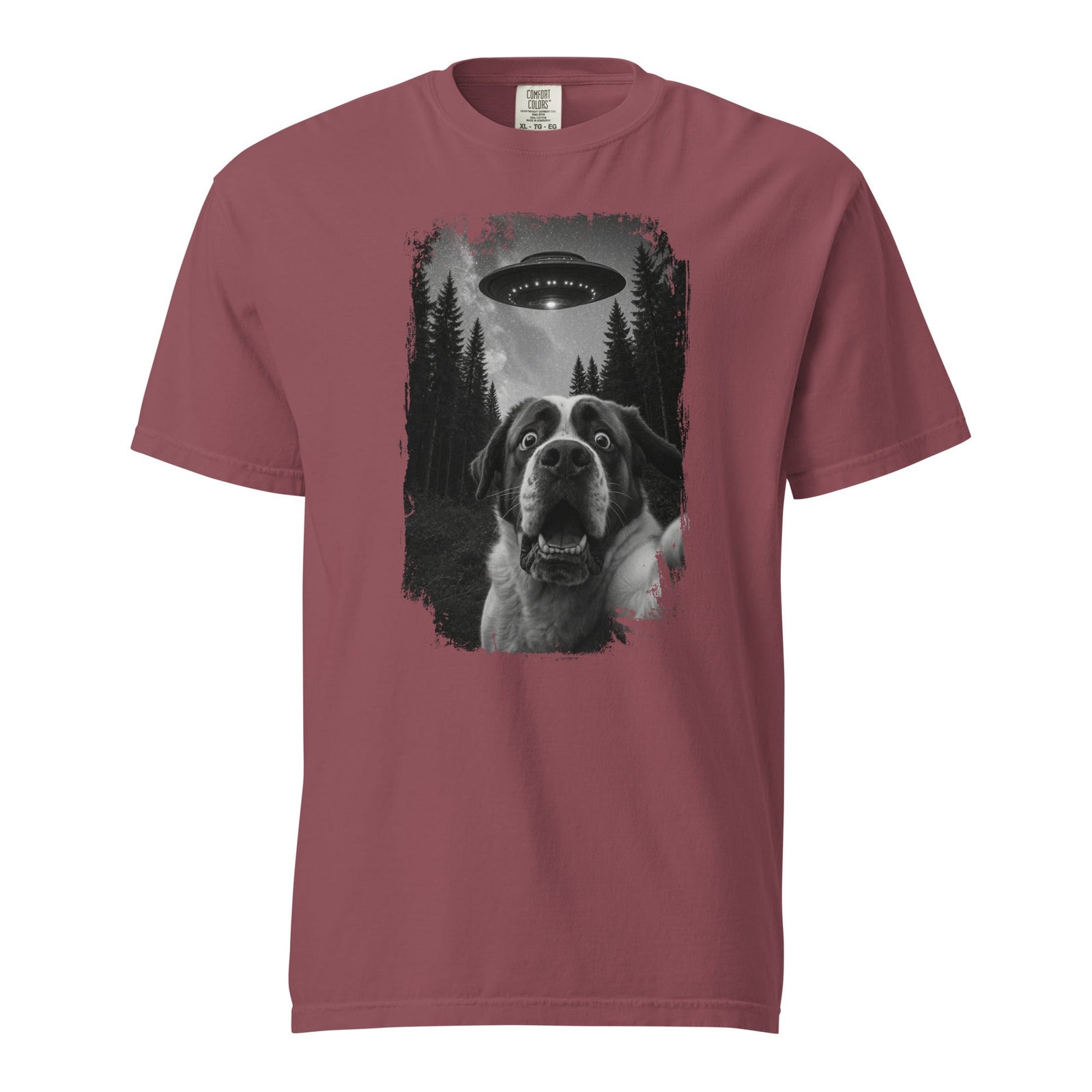 UFO Scaredy Saint T-Shirt - Lucy + Norman
