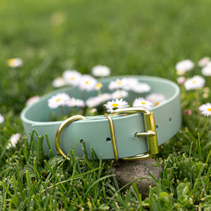 Woodland Wanderer Collar - Lucy + Norman