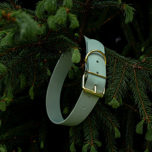 Woodland Wanderer Collar - Lucy + Norman