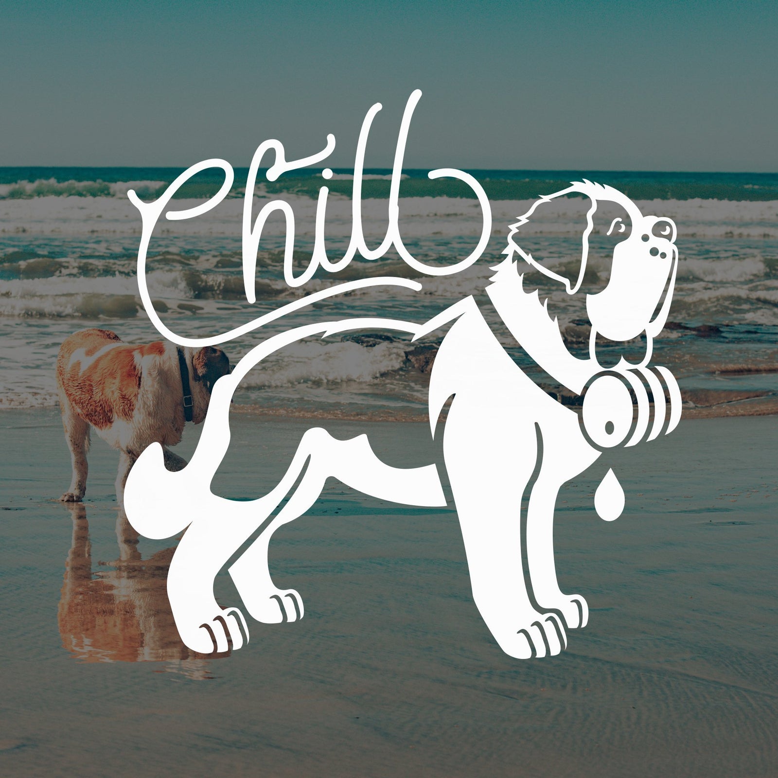 Chill Saint Bernard Dog Car Window Decal - Lucy + Norman