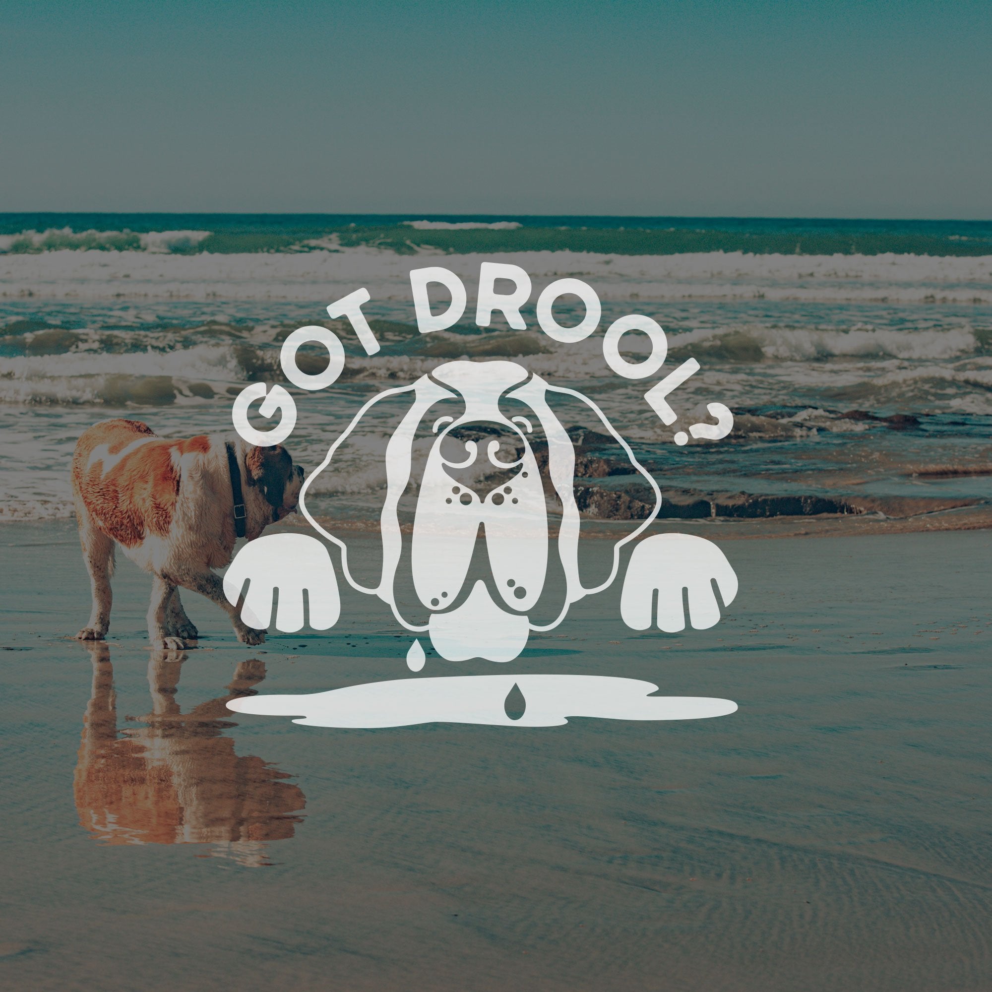 Got Drool? St Bernard Dog Car Window Decal - Lucy + Norman