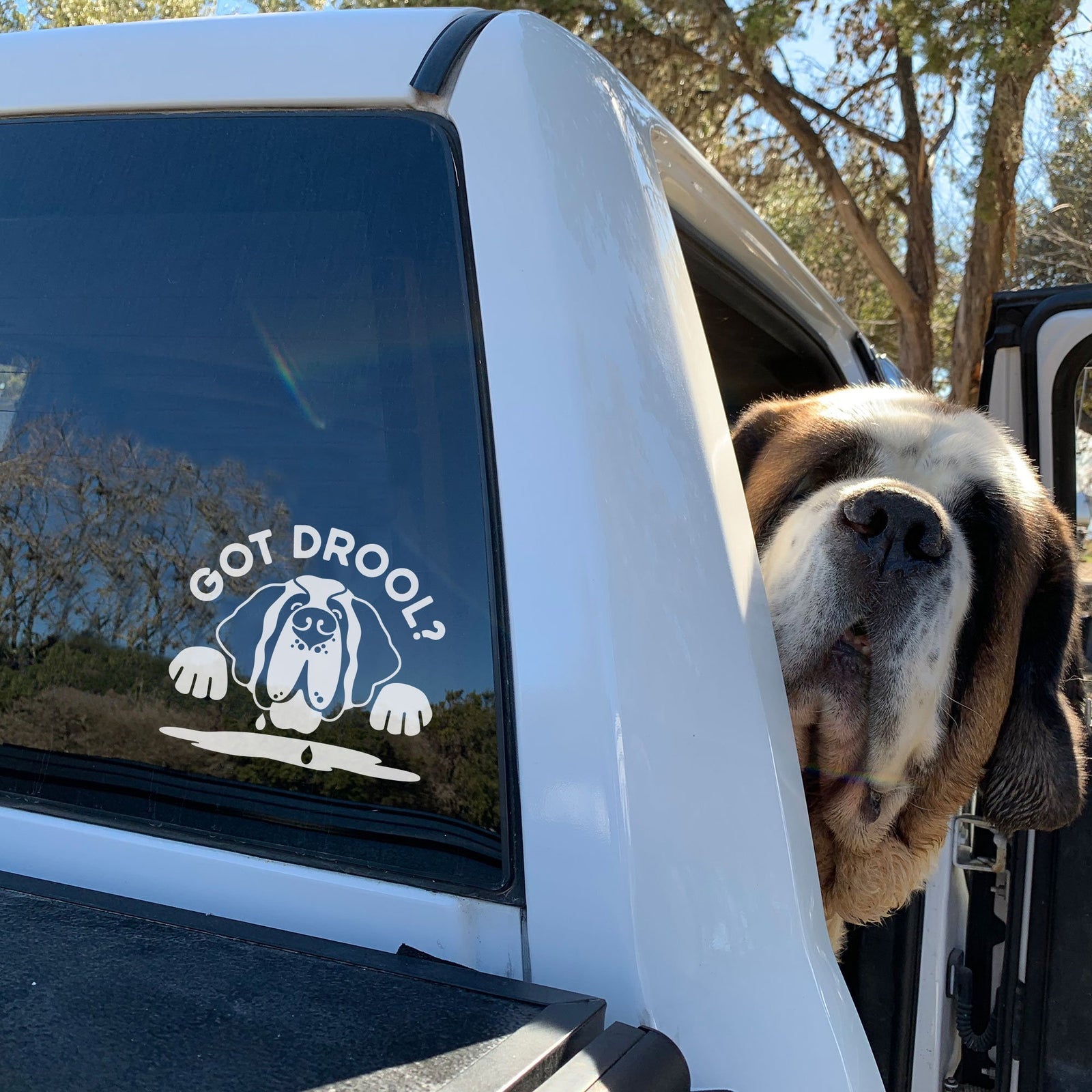 Got Drool? St Bernard Dog Car Window Decal - Lucy + Norman