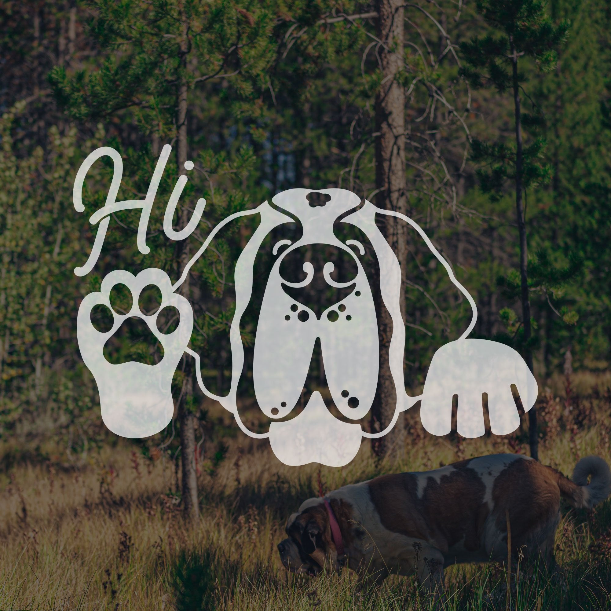 Hi St Bernard Dog Car Window Decal - Lucy + Norman