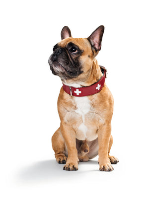 HUNTER Swiss Collars - Lucy + Norman