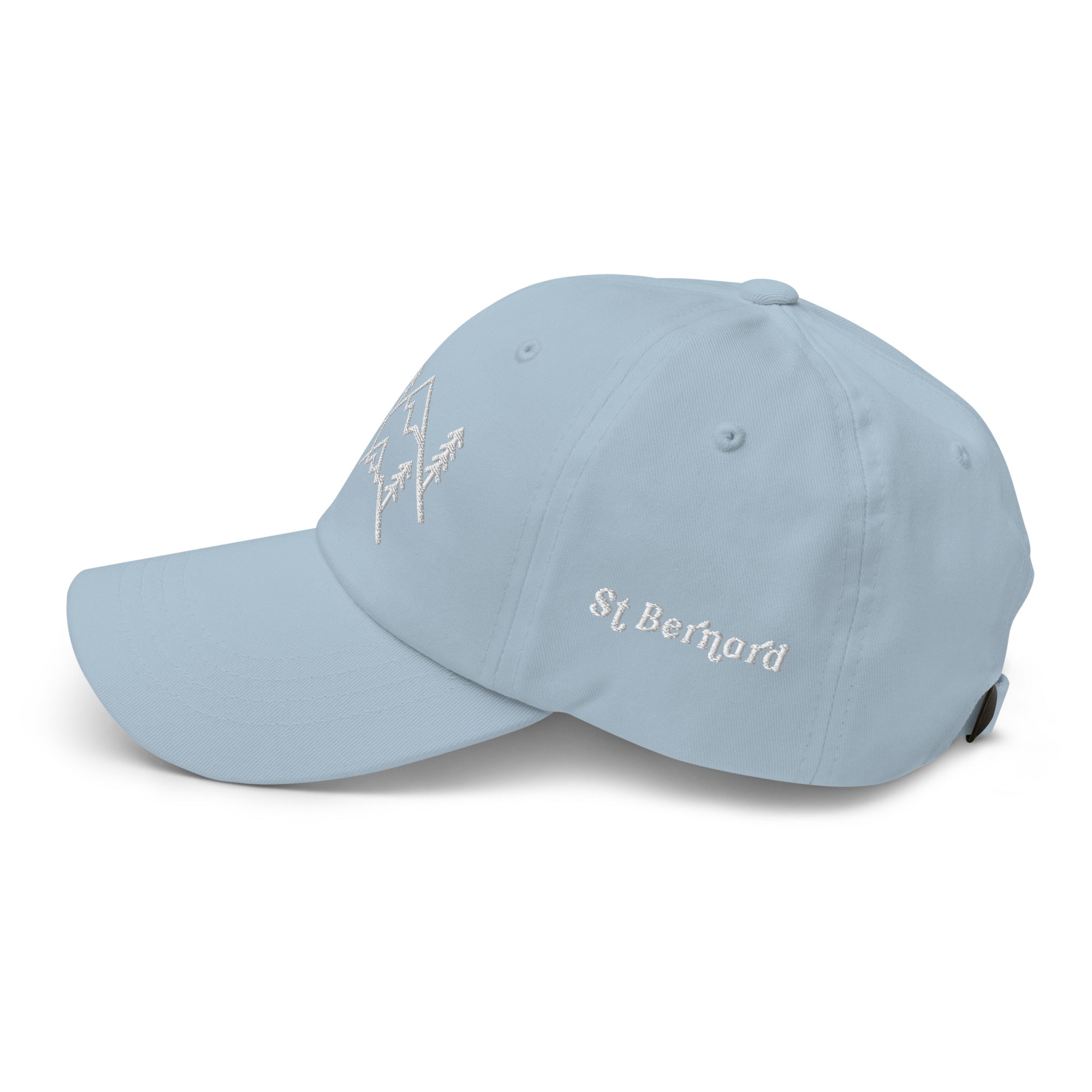 Mountain Dog Dad Hat - Lucy + Norman