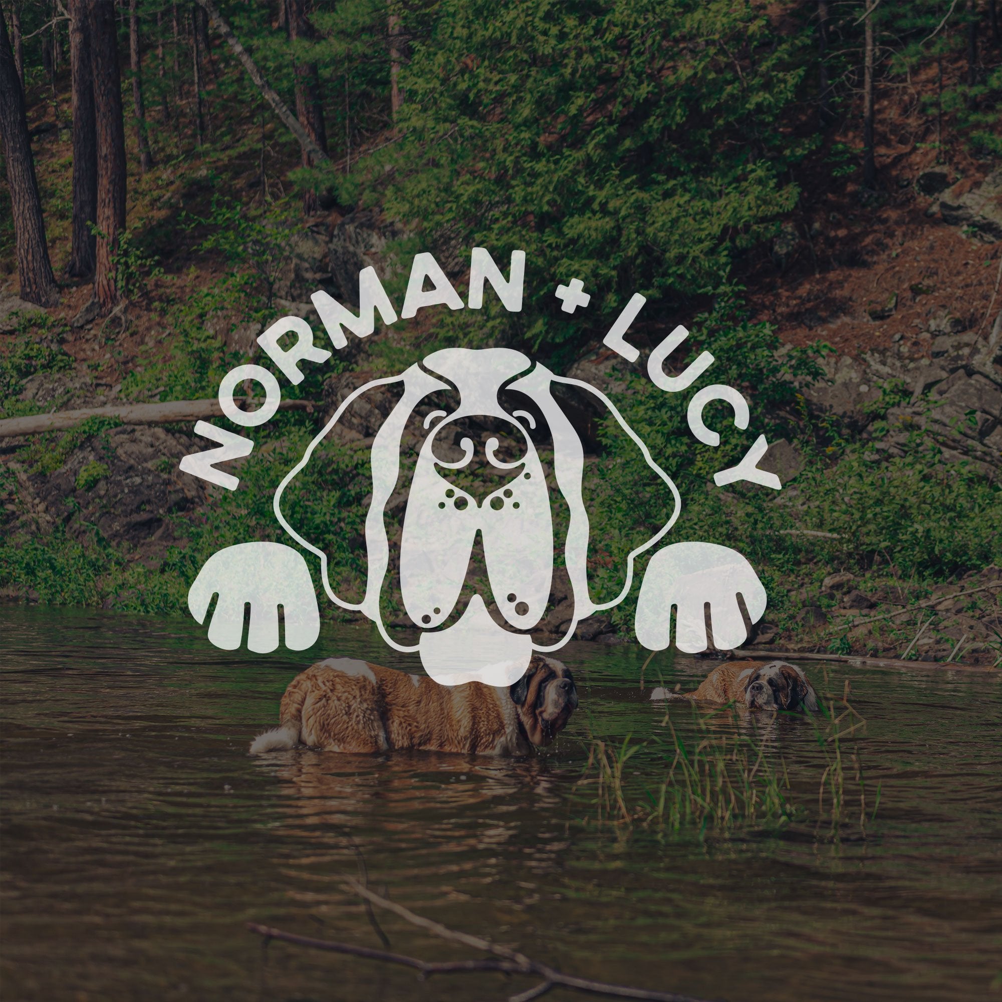 Personalized St Bernard Window Decal - Lucy + Norman