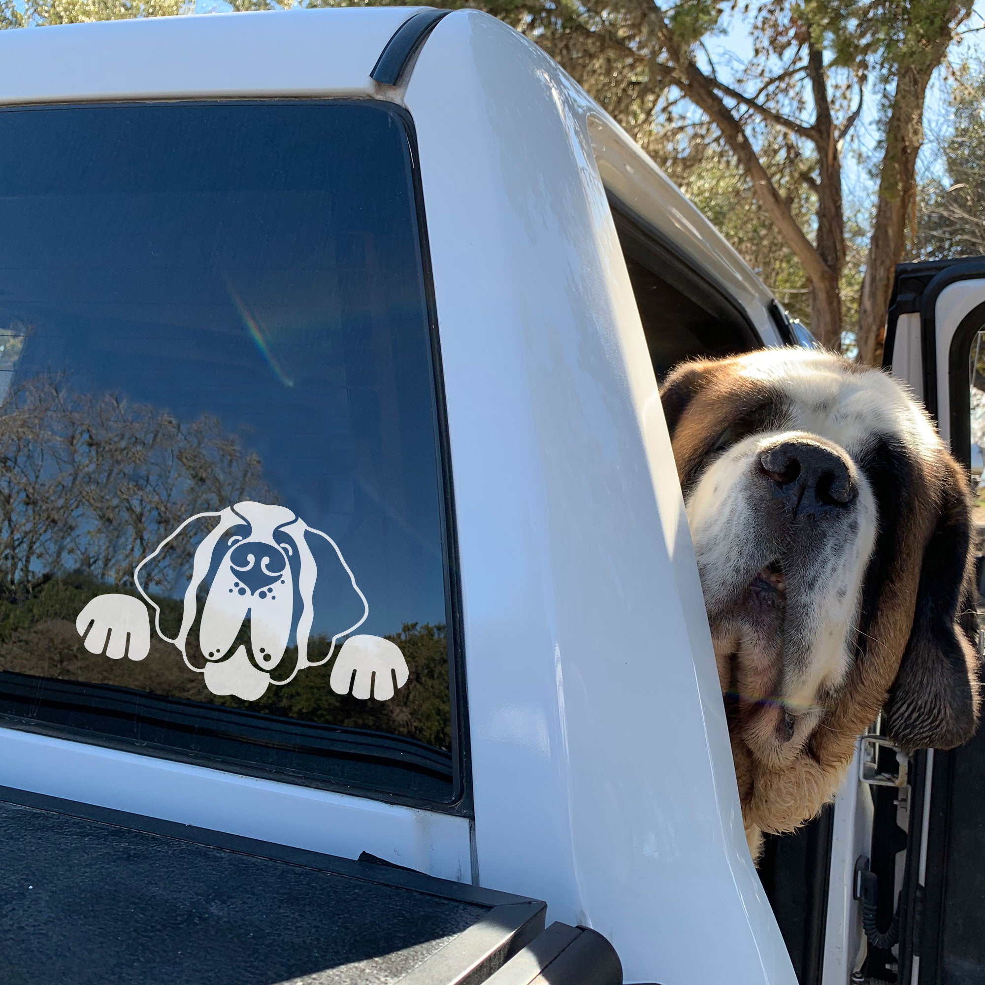 Saint Bernard Dog Car Window Decal - Lucy + Norman