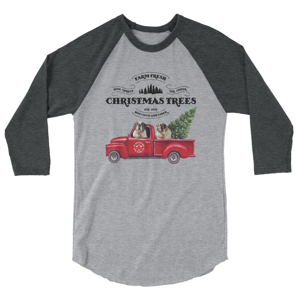 St Bernard Christmas Truck Raglan Shirt - Lucy + Norman