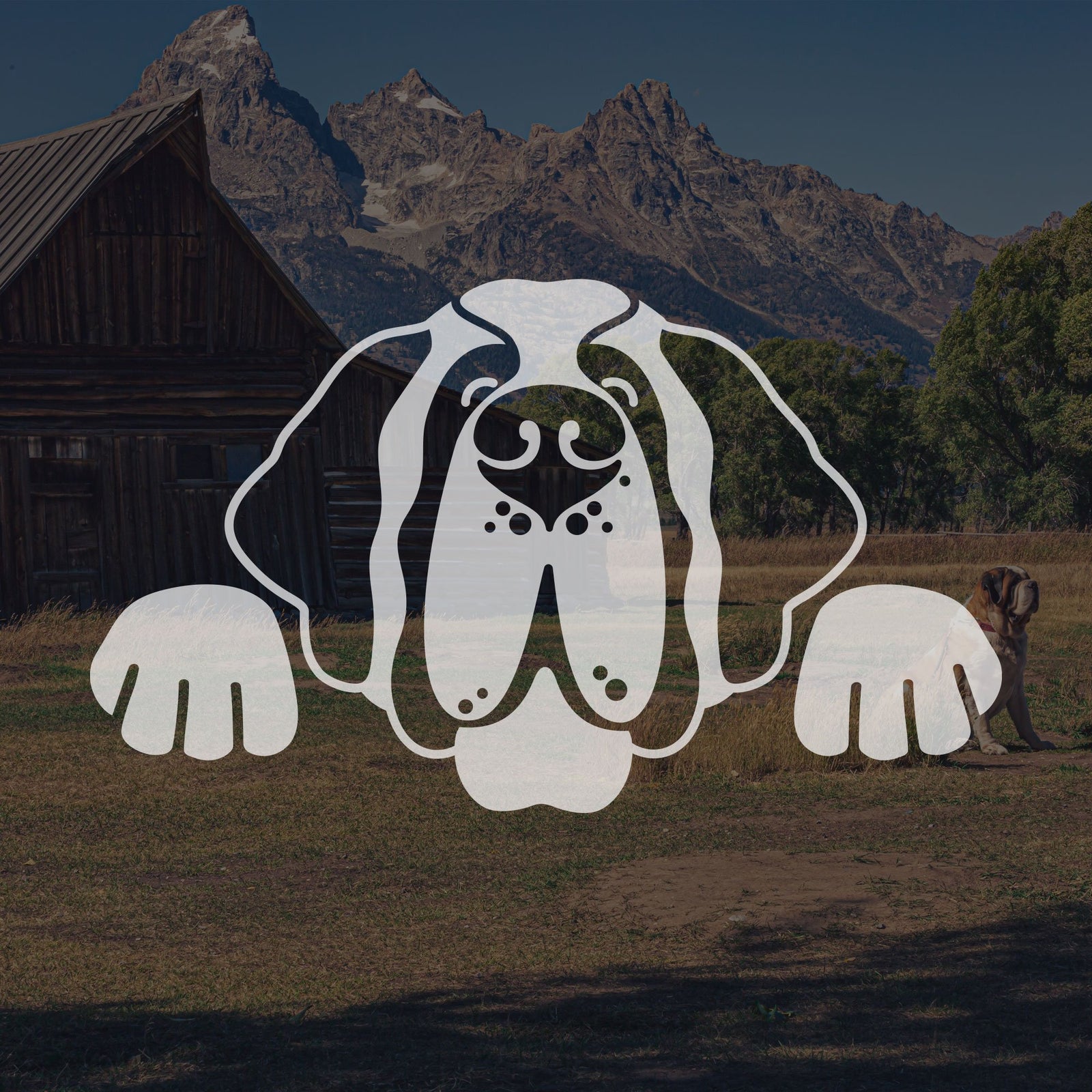 Saint Bernard Dog Car Window Decal - Lucy + Norman