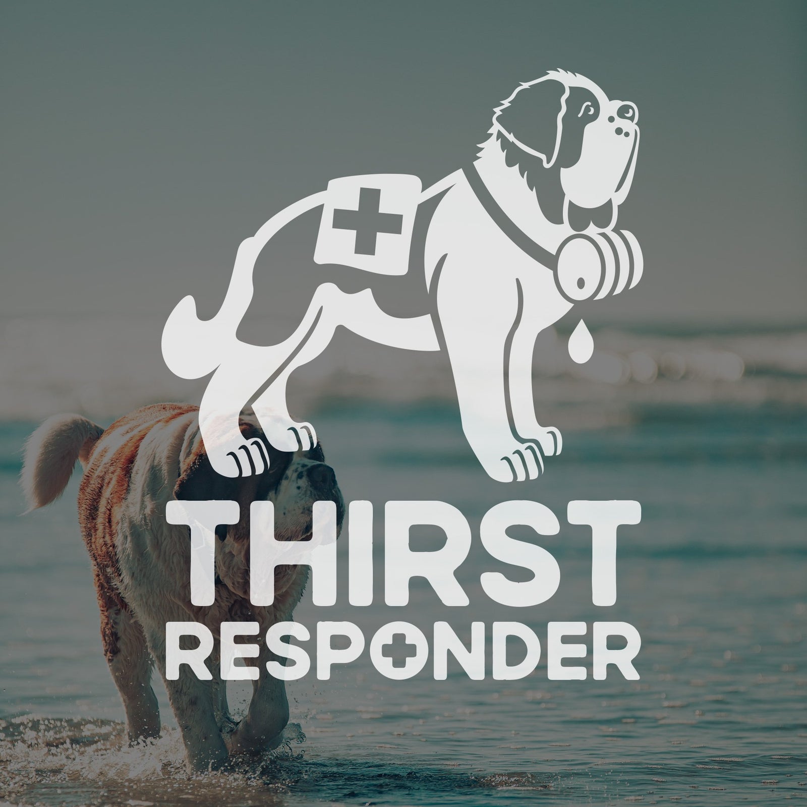 Thirst Responder St Bernard Dog Car Window Decal - Lucy + Norman